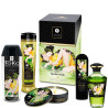Shunga - Kit De Jardin Edo Collection Bio